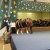 Karacsonyi_koncert_2013